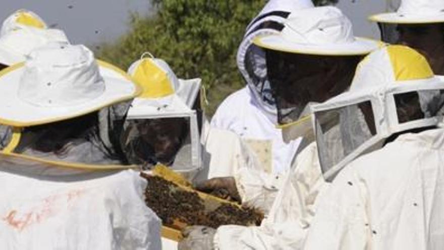 Un grup d&#039;apicultors.