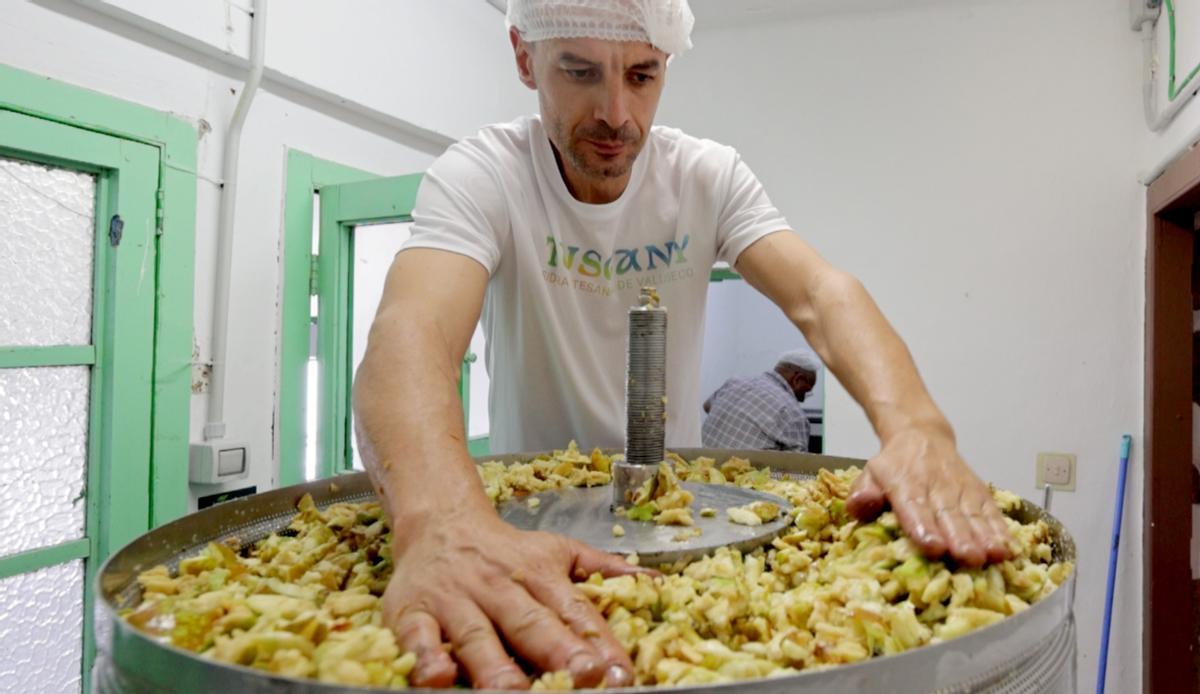 Trabajos en la bodega de Tuscany.