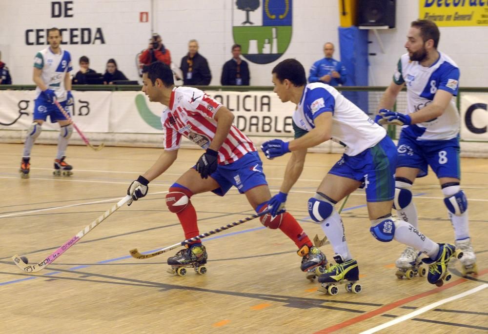 El Cerceda se impone 5-2 al Lleida