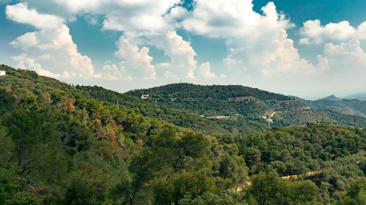 Temps a Catalunya, avui diumenge, 6 d’agost: més núvols i calor nocturna Temps a Catalunya, avui diumenge, 6 d’agost: més núvols i calor nocturna