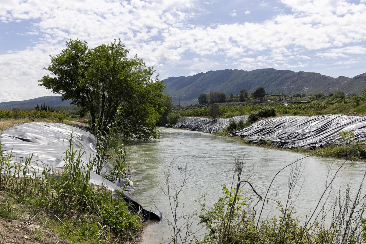plan de erradicación de especies invasoras en el río Segura