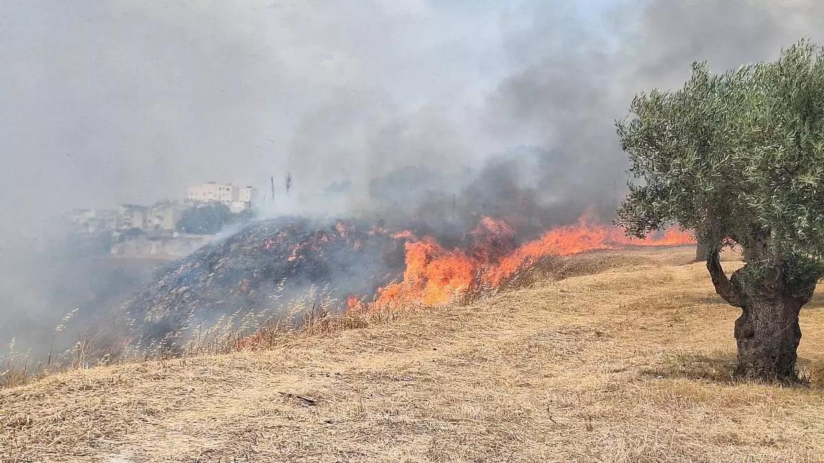Incendio cerca de la barriada de Buenos Aires, iniciado en una zona de pastos junto a la ladera del Río de Oro de Puente Genil.