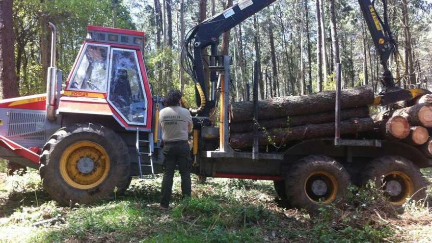 Un agente forestal ante la maquinaria pesada que dañó la necrópolis megalítica de Chan da Cruz. // FdV