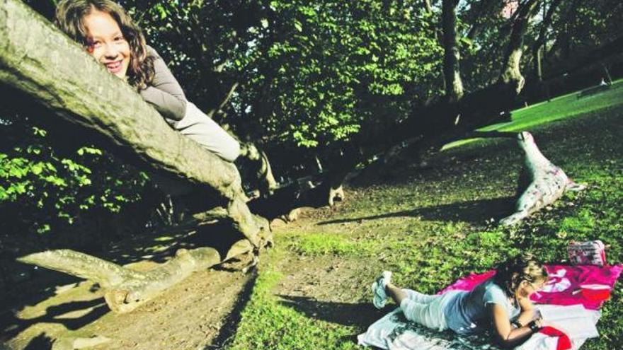 La niña Verónica Castillo, tumbada sobre una de las ramas del carpe caído del parque de Ferrera.