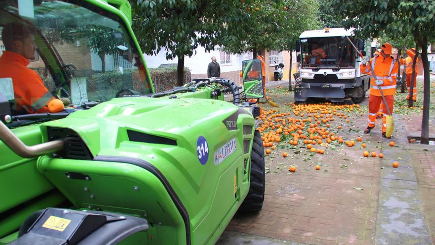 Sadeco e Infraestructuras recogen más de un millón de kilos de naranjas en poco más de un mes gracias al nuevo sistema