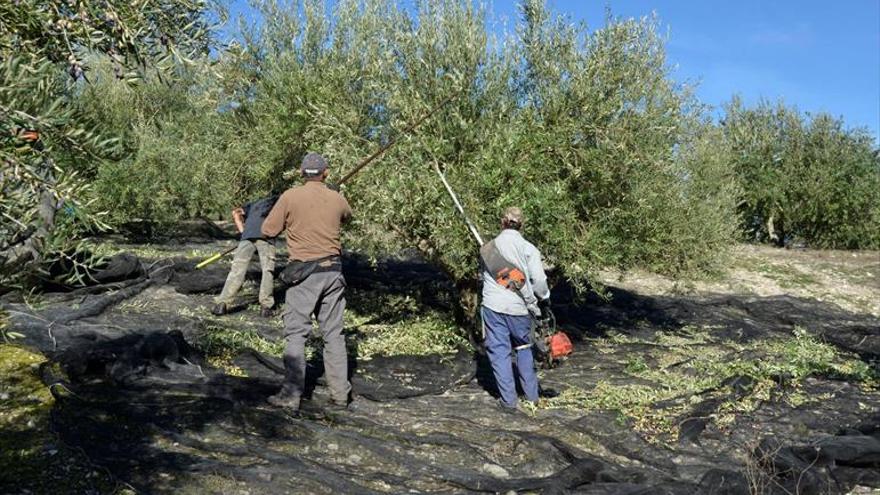 La negociación del campo se enquista en la jornada anual