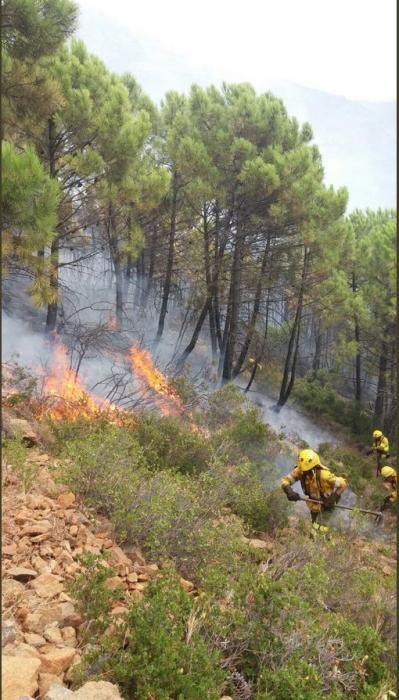 Incendio forestal en Benahavís