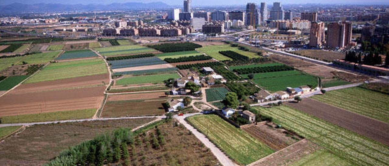 Del desempleo a la agricultura ecológica