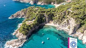 111-futadera-7851-para-digital