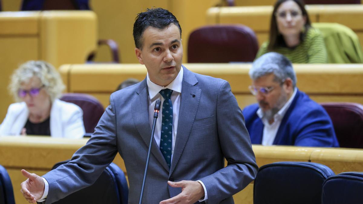 Comparecencia del ministro de Industria, Héctor Gómez, en el pleno del Senado.