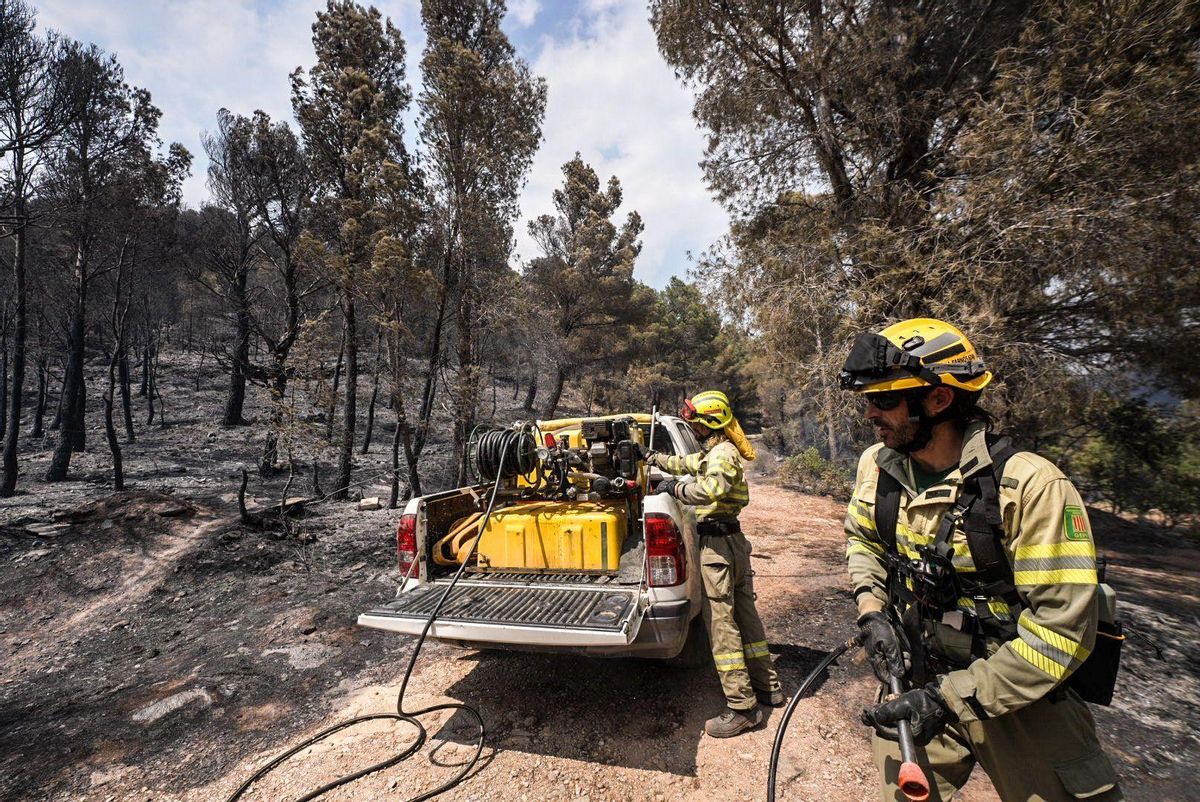 "Bomberos forestales"