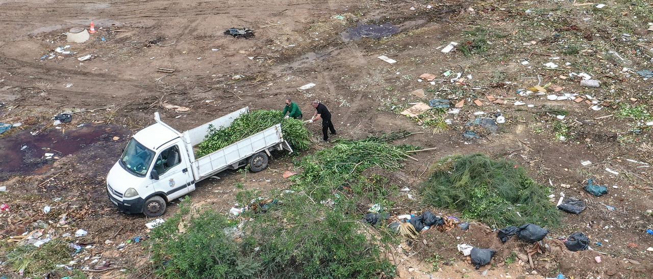 Vertido de podas desde un camión del Ayuntamiento de Torrevieja a la explanada del inacabado parque del Mirador del Alto de la Casilla