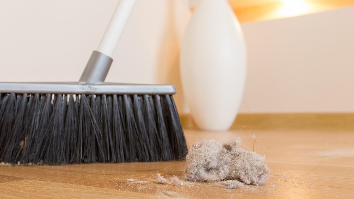El truco más eficaz para limpiar techos y paredes de telarañas - El  Periódico