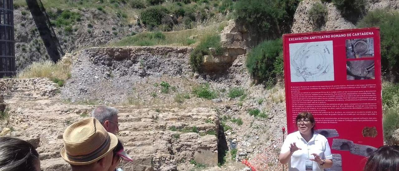 Visita guiada al Anfiteatro Romano de Cartagena.