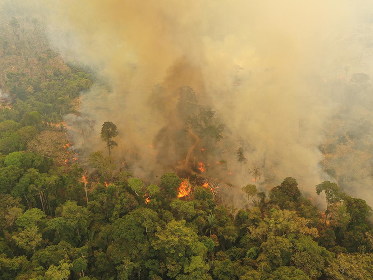 La Tierra en llamas: los incendios, cada vez más destructivos