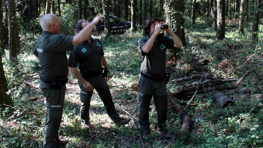 Agents rurals en un bosc de la Garrotxa