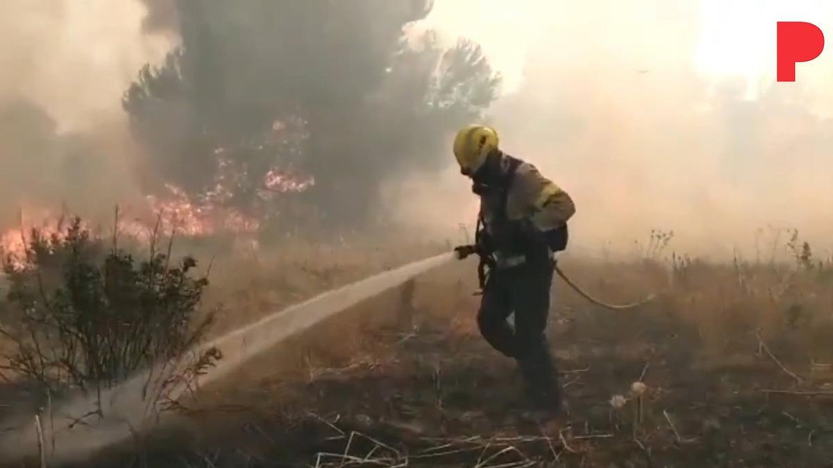 Bomberos en la primera línea de ataque del fuego de Corbera.