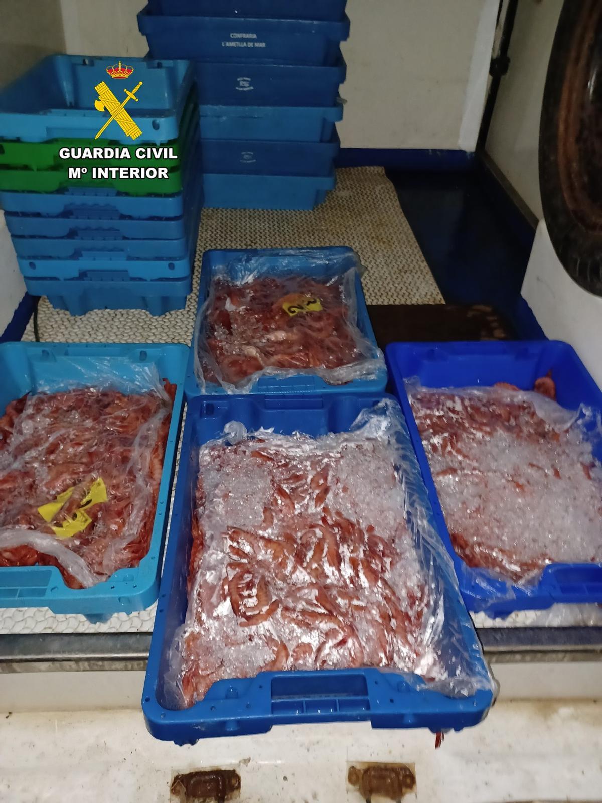 Gambas en un almacén no autorizado de Santa Pola