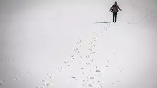 Operativo sin precedentes para evitar colapsos en El Teide tras la nevada de Emilia