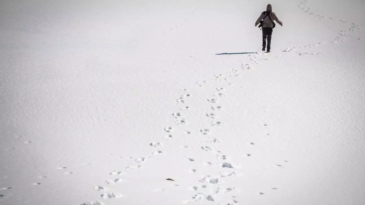 Recorrido por el Parque Nacional del Teide nevado