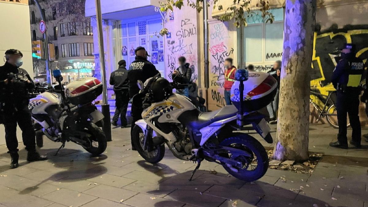 Agentes del GAP durante el operativo especial en el Parc de ses Estacions y en la Estación Intermodal.