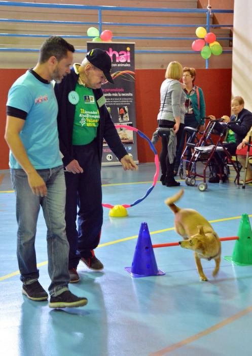 OLIMPIADA DEL ABUELO CANARIO