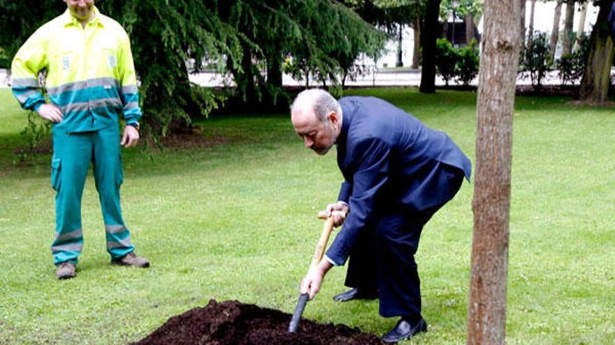 El alcalde de Oviedo, Gabino de Lorenzo, plantó hoy el árbol número mil del Campo San Francisco dentro de los actos de difusión de la candidatura de la ciudad a Capital Europea de la Cultura en 2016.