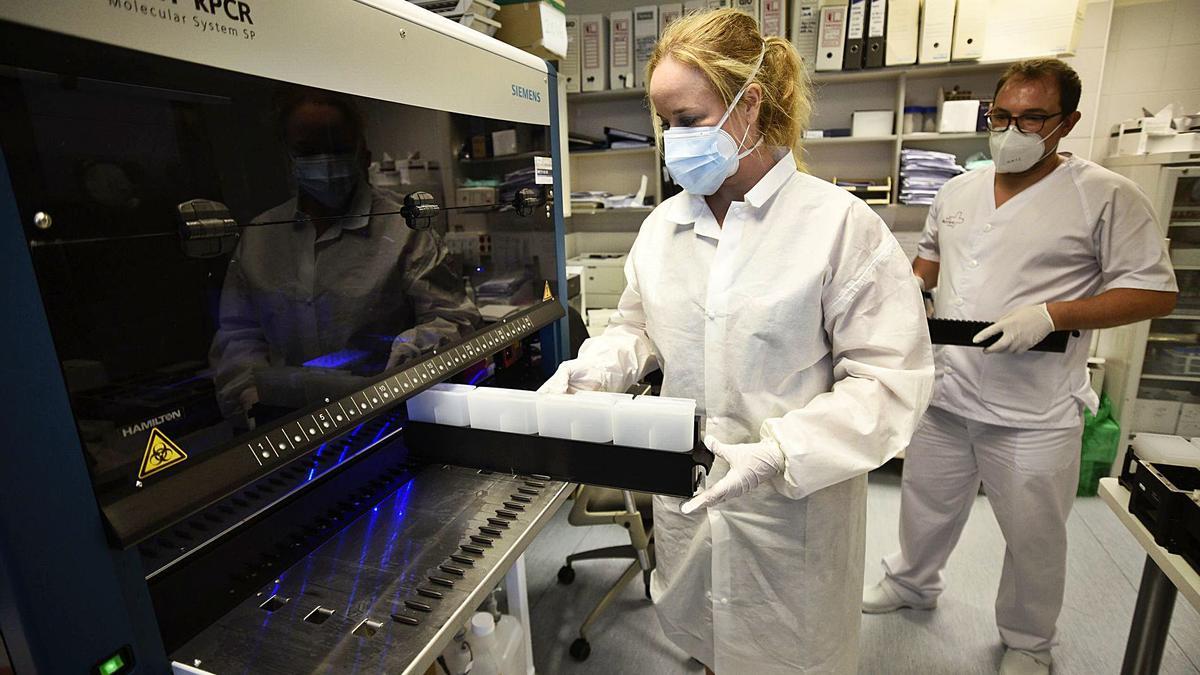 Biólogos procesan las muestras tomadas en las PCR.