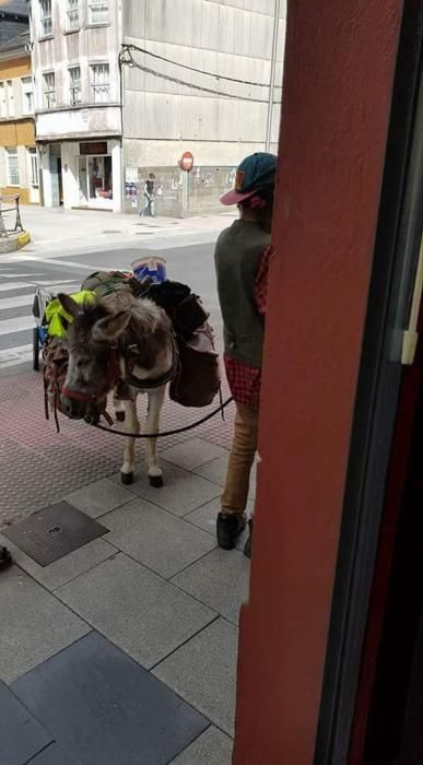 El burro pasando por Luarca