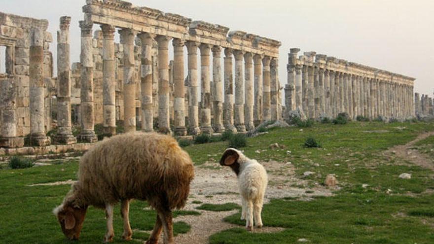 El Cardo maximus de Apamea.