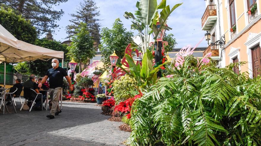 Semana de las Flores de Gáldar