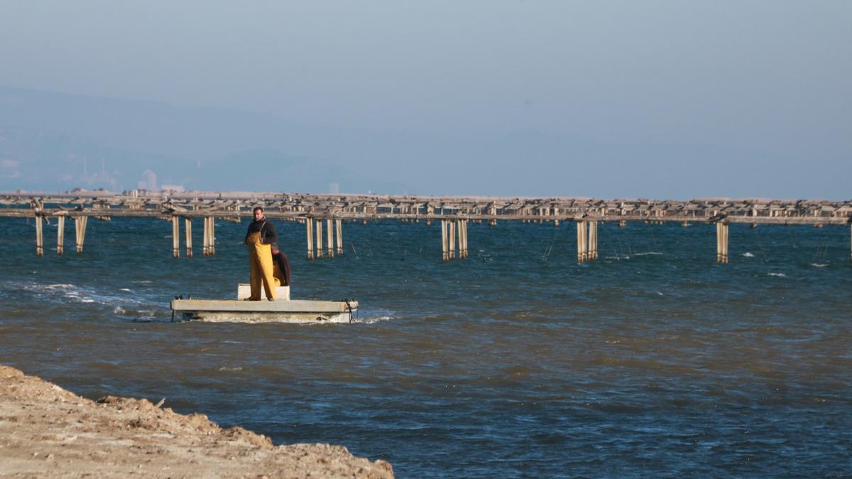 El Govern projecta moure 1,4 milions de metres cúbics de sorra per reobrir la badia del Fangar | ACN/Ariadna Escoda