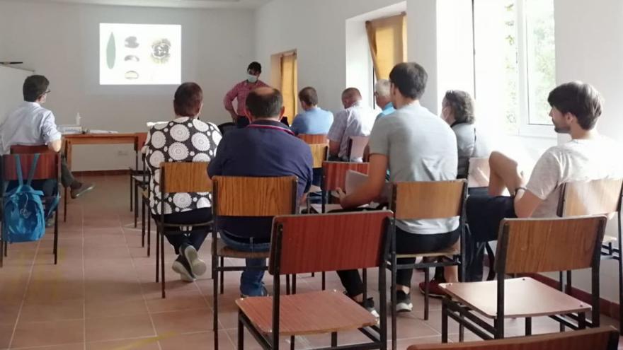 Un grupo de vecinos de Remesar crean una asociación que pone en valor la castaña estradense