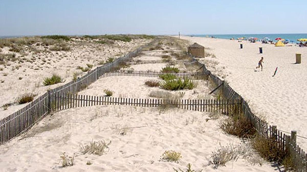 Puedes cruzar en ferry a la playa Terra Estreita.