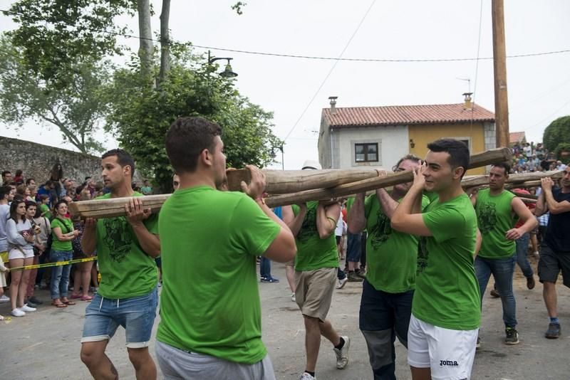 Celoriu planta su hoguera