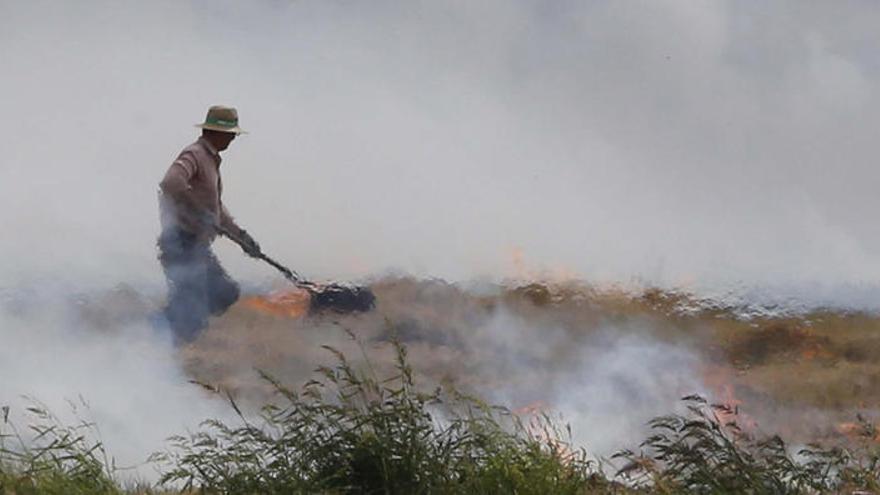 Un agricultor, en plena quema de la paja del arroz.