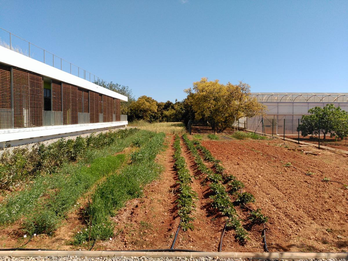 La finca Can Marines se encuentra en la carretera de Santa Eulària a es Canar.