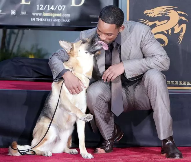 Will Smith prepara 'Soy leyenda 2' (pero del final alternativo)