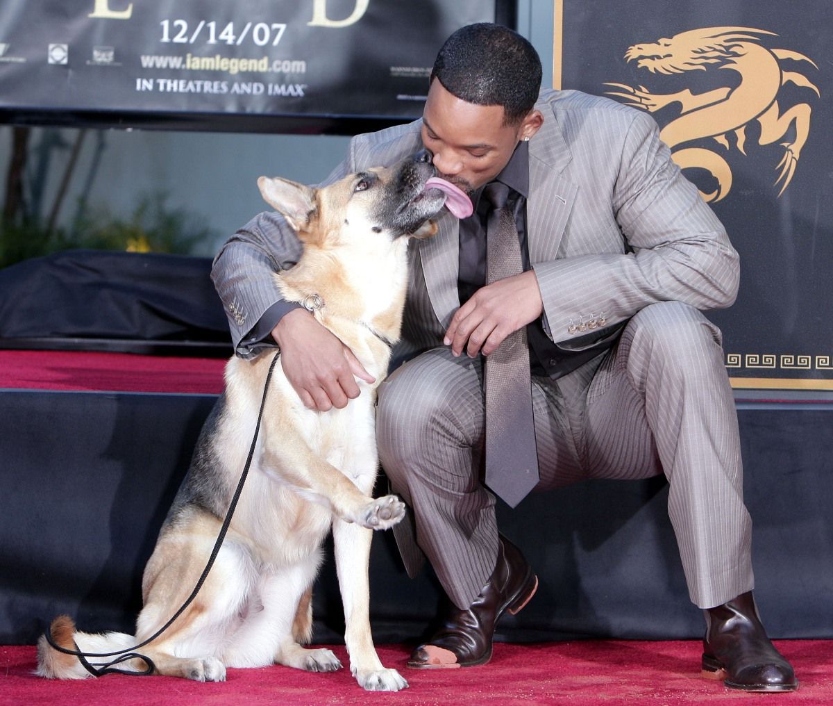 ¿Sabes quién no estará en 'Soy leyenda 2'? El perro que acompañaba a Will Smith.