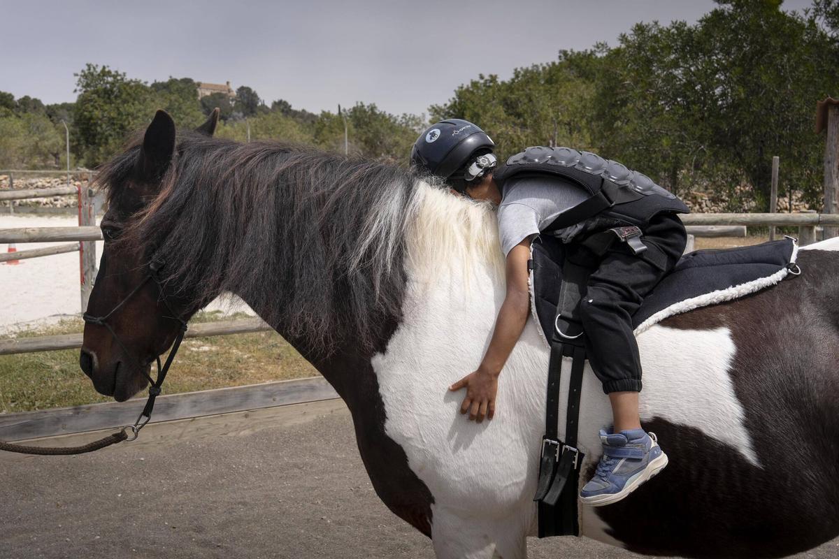 Un niño hace terapia con caballos Natural Equine Connexion en Torredembarra.