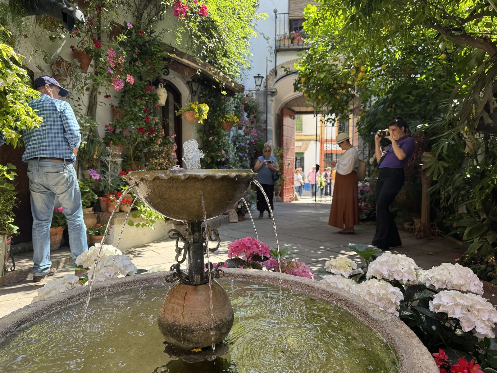 La Ruta 3 de los Patios de Córdoba, en imágenes