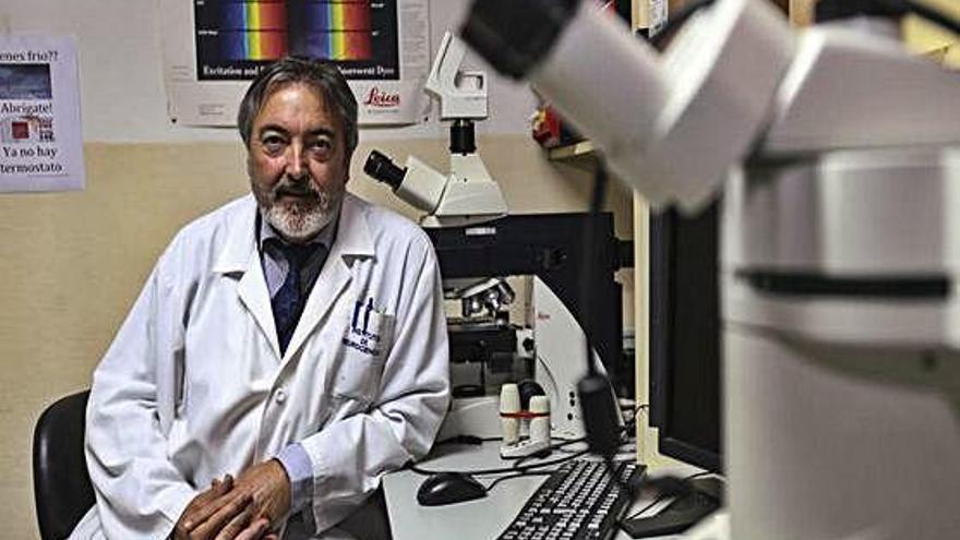 Salvador Martínez, en el Instituto de Neurociencias que dirige.