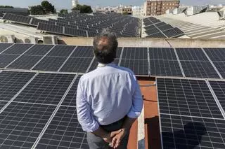 Luz verde a la instalación de placas solares en siete colegios de Elche por 950.000 euros