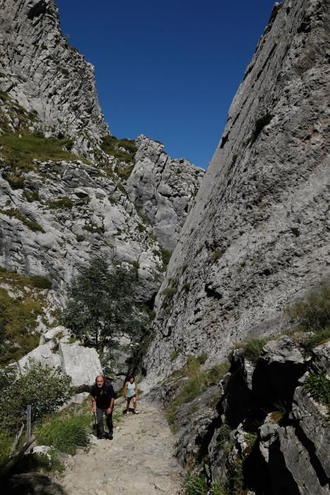 Rutas por Asturias: por las Foces de El Pino