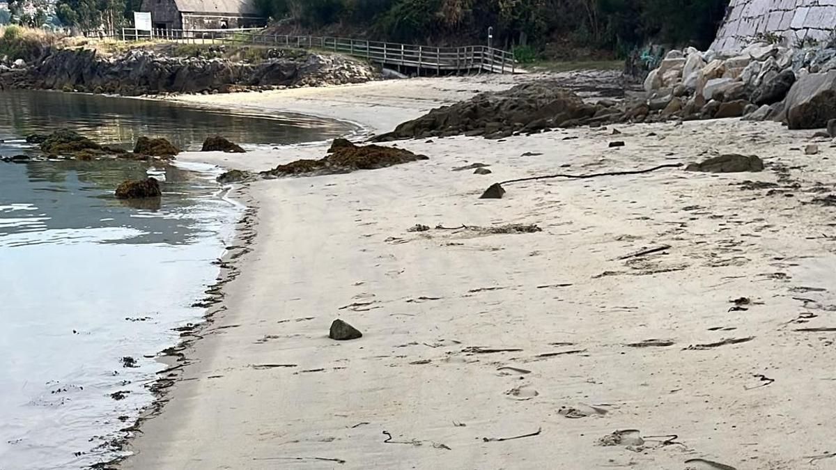 El arenal, ya abierto y totalmente limpio la mañana de este sábado.