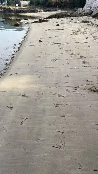 Moaña reabre la playa de O Cocho tras limpiar un vertido desconocido