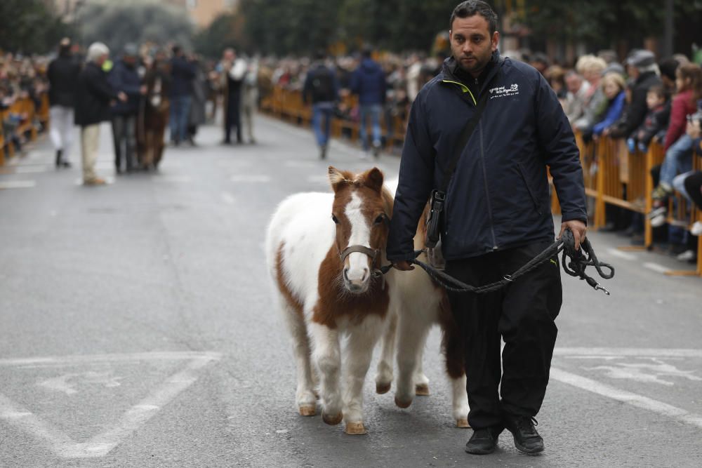 Festividad de Sant Antoni en València