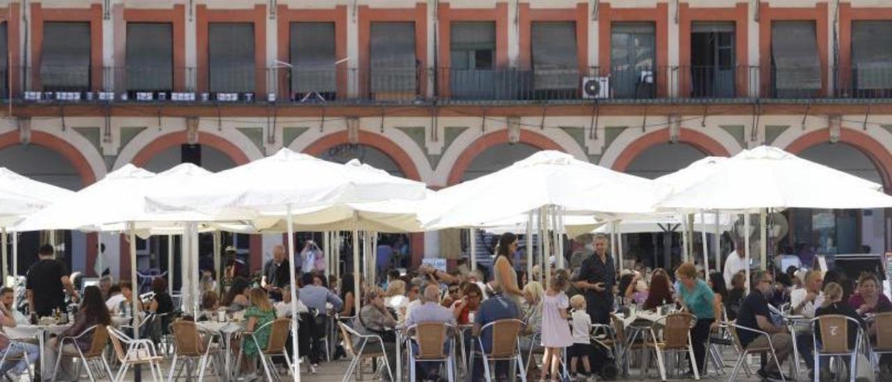 Terrazas de bares en la plaza de La Corredera.