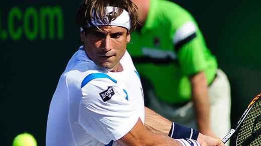 David Ferrer.