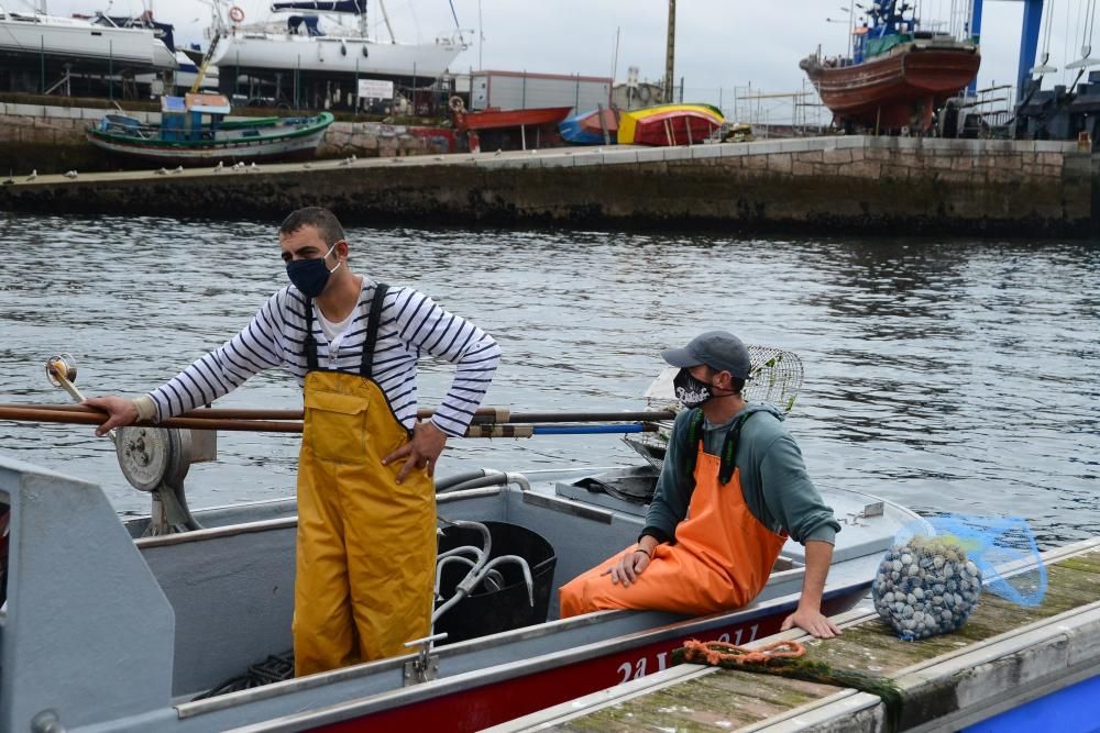 Mariscadores de Cangas y Moaña, en mar y en tierra